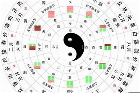 神煞八字|八字神煞详解